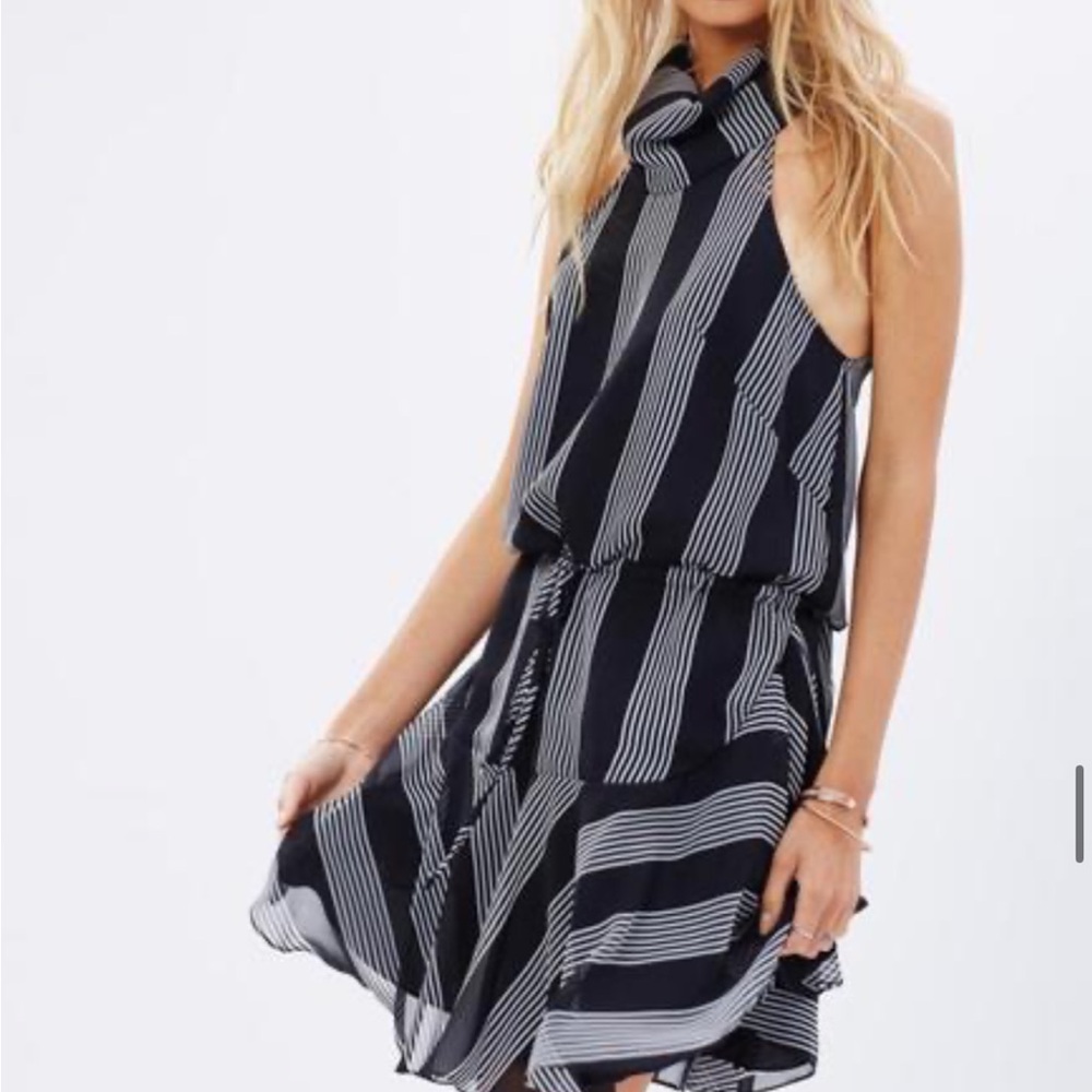 Shona Joy Black and White Striped Dress